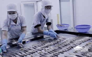 Bà Rịa - Vũng Tàu: Mở rộng thị trường xuất khẩu từ các hiệp định thương mại