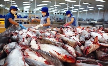 Xuất khẩu cá tra Việt: Phile cá tra đông lạnh vẫn là 