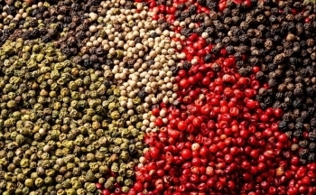 Giá hồ tiêu diễn biến không theo quy luật, liệu sẽ còn tăng nóng?