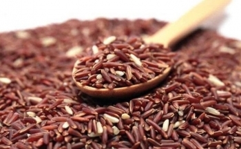 Công dụng tuyệt vời khi ăn gạo lứt