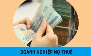 Trường Đại học Hà Hoa Tiên nợ thuế hơn 50 tỷ đồng
