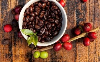 Áp lực tỷ giá, cà phê nội “lao dốc”?