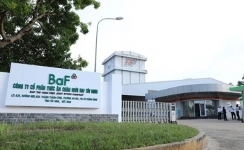 Xử phạt hàng loạt doanh nghiệp vi phạm trong lĩnh vực chứng khoán