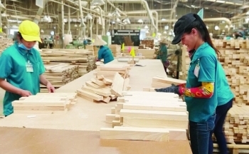 Xuất khẩu gỗ và sản phẩm gỗ tháng 5/2024: Tăng trưởng tích cực nhưng vẫn còn nhiều thách thức