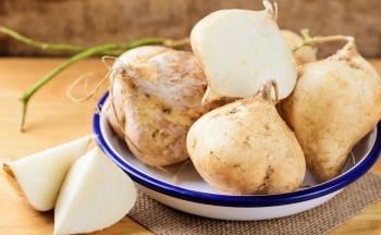 Vì sao củ đậu được ví như 