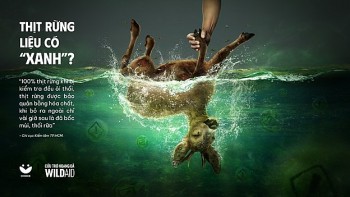 Chiến dịch truyền thông kêu gọi cộng đồng nói