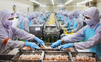 Xuất khẩu thủy sản tăng vọt do đâu?