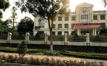 Lào Cai: Công ty Nông sản Hà Khẩu và Công ty Xuất nhập khẩu T&T bị cưỡng chế thuế