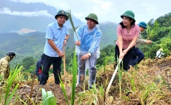 Lai Châu: Phát động trồng rừng năm 2024 chào mừng 95 năm ngày thành lập Công đoàn Việt Nam