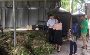 Đánh giá thực tế sản xuất sản phẩm công nghiệp nông thôn tiêu biểu khu vực miền Trung-Tây Nguyên