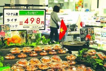 Mở rộng hợp tác kinh tế Việt - Nhật từ ''đòn bẩy'' xúc tiến thương mại