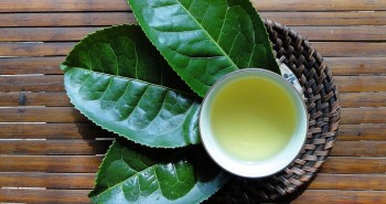 Chè xanh có thực sự ngăn ngừa bệnh ung thư như nhiều người vẫn nghĩ?