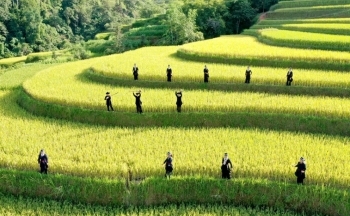Hà Giang: Bán lẻ hàng hóa và doanh thu dịch vụ tiêu dùng tăng gần 20%