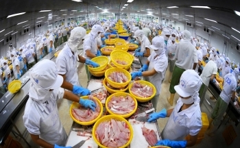 Xuất khẩu thủy sản: Tín hiệu tăng trưởng tích cực những tháng cuối năm