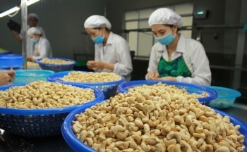 Nắm bắt cơ hội, gia tăng thị phần hạt điều tại Vương quốc Anh