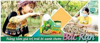 Longform | Nâng tầm giá trị trái bí xanh thơm Bắc Kạn