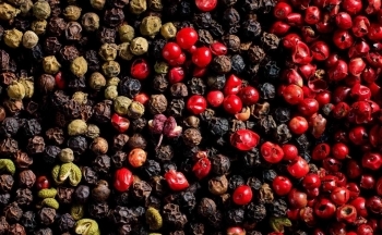 Giá hồ tiêu cao nhất 10 năm qua, nông dân kỳ vọng 