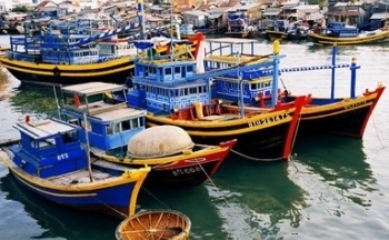 Bình Thuận: Khai thác thủy sản không đúng giấy phép, 2 chủ tàu cá bị phạt gần 200 triệu đồng