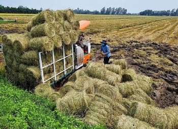 Nông nghiệp tuần hoàn - hướng đi tất yếu để phát triển bền vững