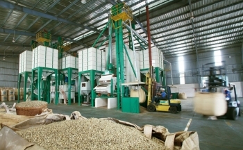 Tận dụng hiệu quả C/O, khơi mở 'cao tốc' dẫn vào thị trường EU