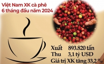Điểm danh 10 thị trường xuất khẩu cà phê của Việt Nam có kim ngạch trên 100 triệu USD