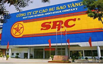 Cao su Sao vàng: Lợi nhuận tăng đột biến, tài sản giảm gần 190 tỷ đồng