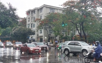Dự báo thời tiết Hà Nội hôm nay 22/7/2024: Hà Nội có mưa dông, đêm mưa đến rất to