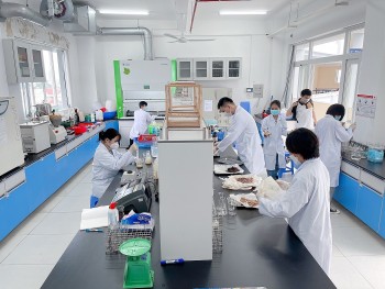 Những ngành, lĩnh vực dự kiến điểm chuẩn tăng so với năm 2023