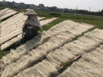 Hà Nội đẩy mạnh sản xuất sạch hơn qua các giải pháp quản lý nội vi