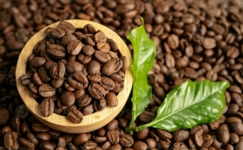 Áp lực nguồn cung, xuất khẩu cà phê sẽ giảm dần trong quý 3?