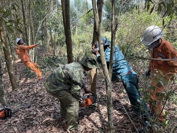 Chú trọng thực hiện nhiều giải pháp bảo đảm an toàn lưới điện mùa mưa bão