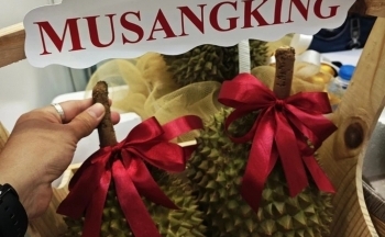 Sầu riêng Musang King giảm giá mạnh,
