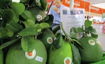 Hoa Kỳ vẫn là thị trường tiềm năng cho hoa quả, trái cây của Việt Nam