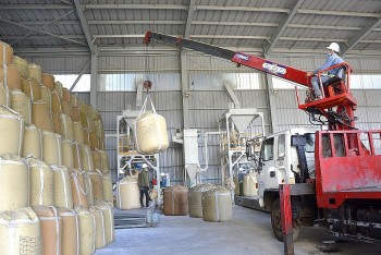 Chỉ số sản xuất tăng, công nghiệp Đắk Nông đóng góp quan trọng vào kinh tế địa phương