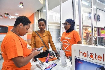 7 tháng đầu năm 2024: Việt Nam đầu tư sang Hà Lan bao nhiêu triệu USD?