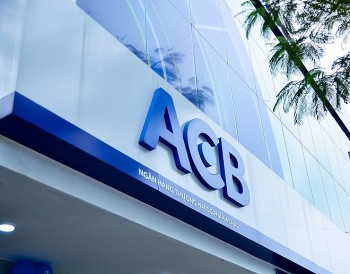 Công ty “zombie” của chị gái Chủ tịch ACB: Không doanh thu, không thuế
