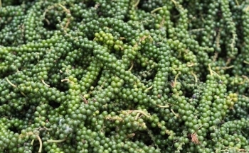 Hiệp hội Hồ tiêu và Cây gia vị Việt Nam (VPSA): Giá hồ tiêu sẽ biến động trong thời gian tới