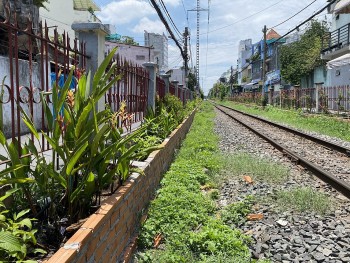 Câu nói ''Ăn rau má phá đường tàu'' bắt nguồn từ đâu và mang hàm ý gì?