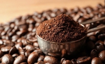 Thị trường cà phê Việt trước áp lực tỷ giá