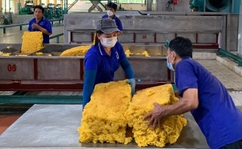 Top 5 thị trường nhập khẩu cao su lớn nhất của Việt Nam