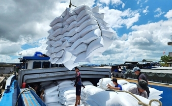 Gạo Việt Nam tiếp tục khẳng định vị thế dẫn đầu tại thị trường Philippines