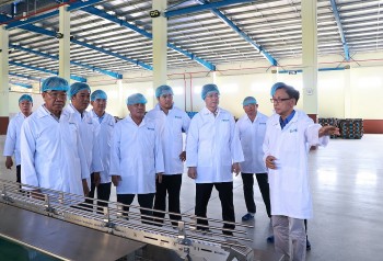 Bình Thuận: Kiểm tra tiến độ dự án Cụm công nghiệp Sông Bình và Nhà máy chế biến sữa Thông Thuận
