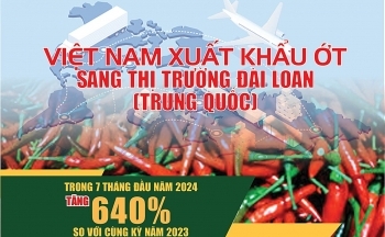Infographic | Xuất khẩu ớt sang thị trường Đài Loan (Trung Quốc) tăng 640%
