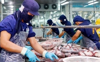 Làm gì để ngành cá tra “lấn sâu” vào thị trường quốc tế?