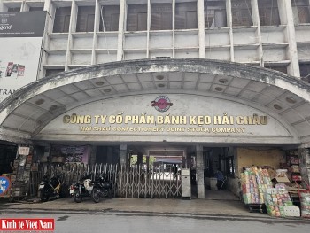 Loạt sai phạm trên