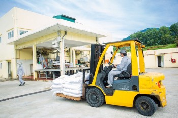 Công nghiệp hóa chất 'chuyển mình', góp sức vào tăng trưởng kinh tế