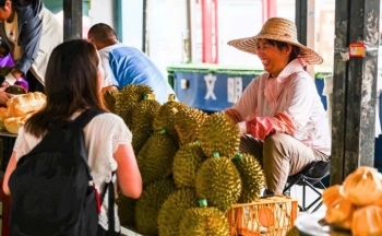 Bộ Thương mại Trung Quốc đánh giá cao quan hệ hợp tác kinh tế, thương mại Việt - Trung