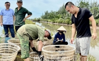 Nam Định: 15/16 hộ dân khu vực Cồn Xanh đồng thuận bàn giao mặt bằng