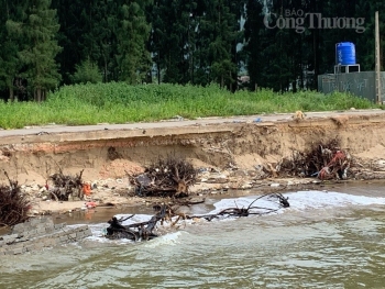 Sạt lở, xâm thực bờ biển ảnh hưởng đến 205 hộ dân, tỉnh Thanh Hóa công bố tình huống khẩn