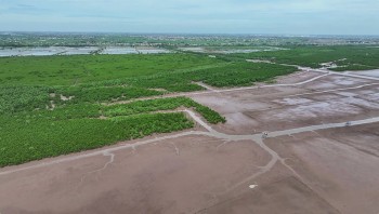 Thái Bình giữ nguyên trạng Khu bảo tồn thiên nhiên đất ngập nước Tiền Hải